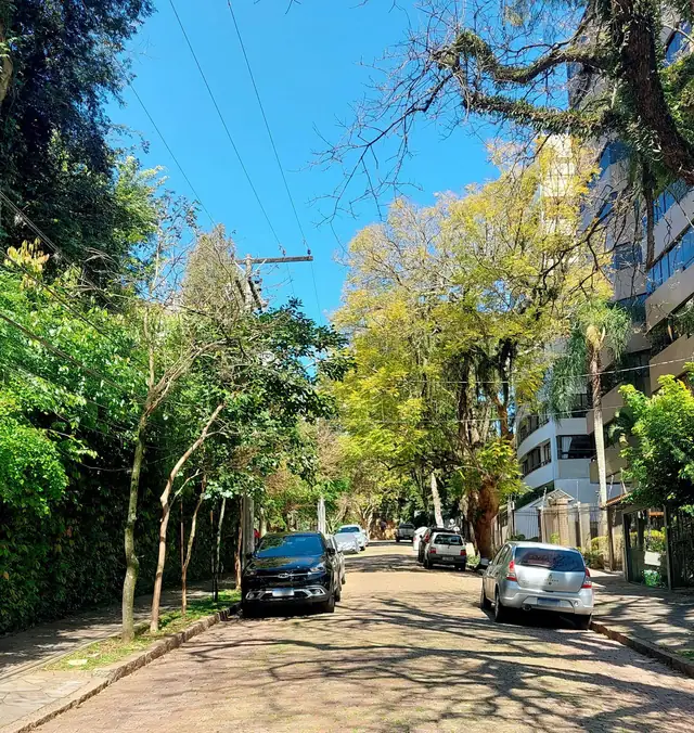 Rua arborizada e tranquila na Bela Vista